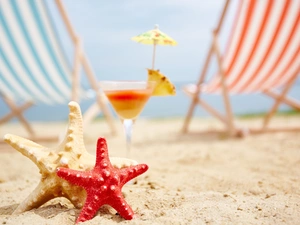 Sand, Beaches, Drink, deck chair, starfish