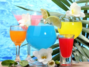 decor, color, drinks
