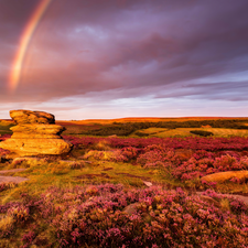 rocks, Great Sunsets, England, Great Rainbows, County Derbyshire, The Hills, heath, Peak District National Park