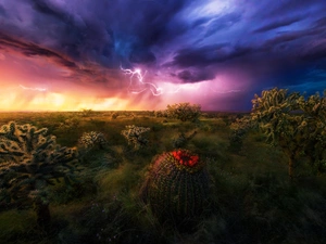 Sky, Desert, lightning, Storm, Cactus