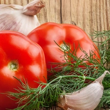 dill, tomatoes, garlic