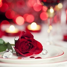 dinner, Romantic, Valentine