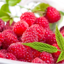 dish, raspberries, leaves