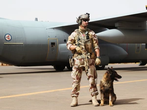 soldier, dog, plane, a man
