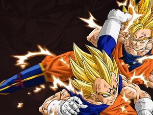 Dragon Ball, Fight