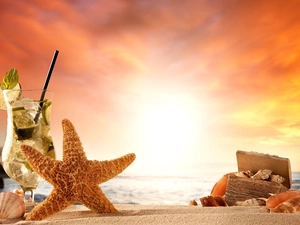 composition, Great Sunsets, Drink Mojito, starfish, Beaches