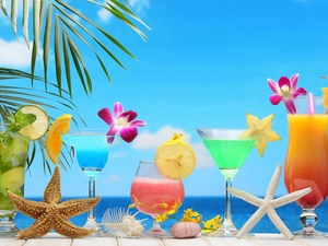 color, starfish, holiday, drinks