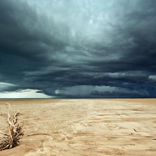 Lod on the beach, Desert, dry