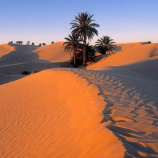 Dunes, Desert, Sand