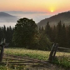 house, Mountains, east, sun, Fog, woods