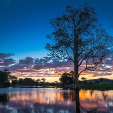 east, sun, trees, viewes, lake