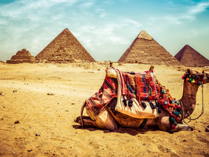 Giza, Egypt, Pyramids, Desert, Camel