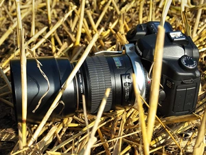 Camera, Eos 40D, grass, Canon