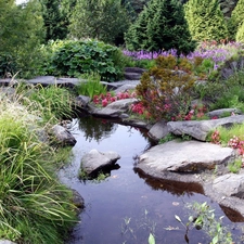 eye, water, Garden, botanical, rock