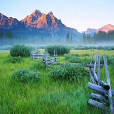 Spring, grass, Fance, Green