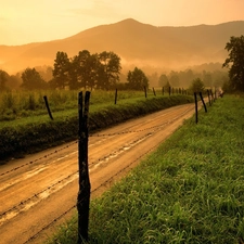 Fences, Way, viewes, The Hills, trees, spiky