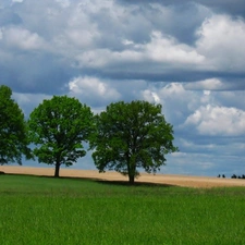 Field, clouds, viewes, Spring, trees