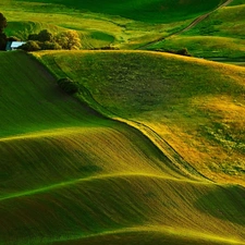 green ones, The Hills, field, wavy