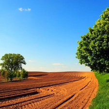 trees, plowed, Field, viewes