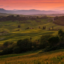 field, trees, Fog, viewes, Great Sunsets, Tuscany, Italy, cypresses