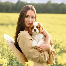 dog, longhaired, Hat, Field, Puppy, Women