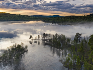 viewes, woods, Lapland, trees, Inari Lake, Fog, Finland