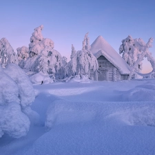 viewes, winter, Lapland, Finland, house, trees