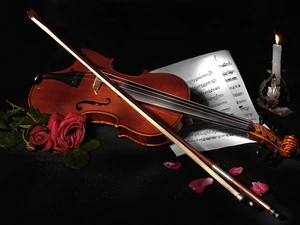 Tunes, violin, roses, flakes, Candle, bow