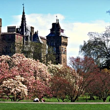 Park, Cardiff, trees, wales, Castle, flourishing, viewes