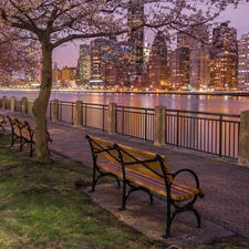 promenade, evening, viewes, Manhattan, Spring, flourishing, New York, bench, River, The United States, skyscrapers, trees, East River Strait