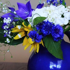 blue, color, Flowers, bowl