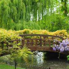 Flowers, brook, bridges