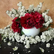 composition, White, flowers, Peonies