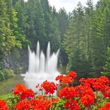 fountain, forest, Flowers, lake