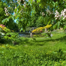 Garden, viewes, Flowers, trees