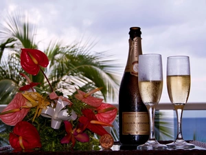 Champagne, Bouquet of Flowers, composition, glasses