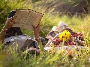 Steam, Meadow, Yellow, Flowers, Book, grass