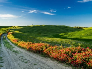 Mountains, trees, Italy, viewes, Tuscany, medows, Way, Flowers
