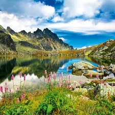 lake, Stones, Flowers, Mountains