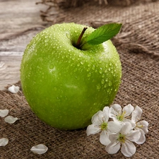 Flowers, Apple, leaf