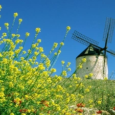 Flowers, Windmill, Meadow