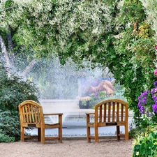 Park, green, Flowers, bench