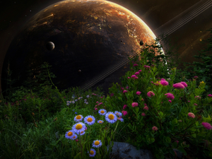 Flowers, fantasy, Planet