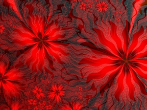 Flowers, texture, Red