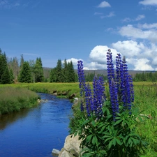 River, Mountains, Flowers, woods