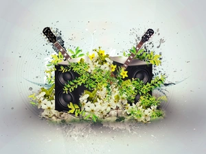 Flowers, Guitars, speaker