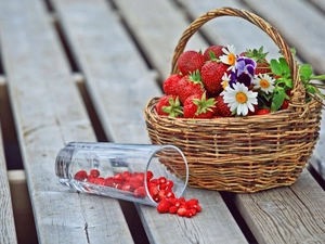 cup, Flowers, strawberries, Strawberries, basket