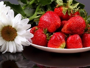 Flowers, strawberries