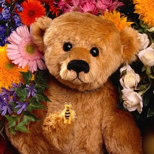 Flowers, Plush, teddybear