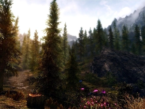 Conifers, Flowers, trees, viewes, Mountains